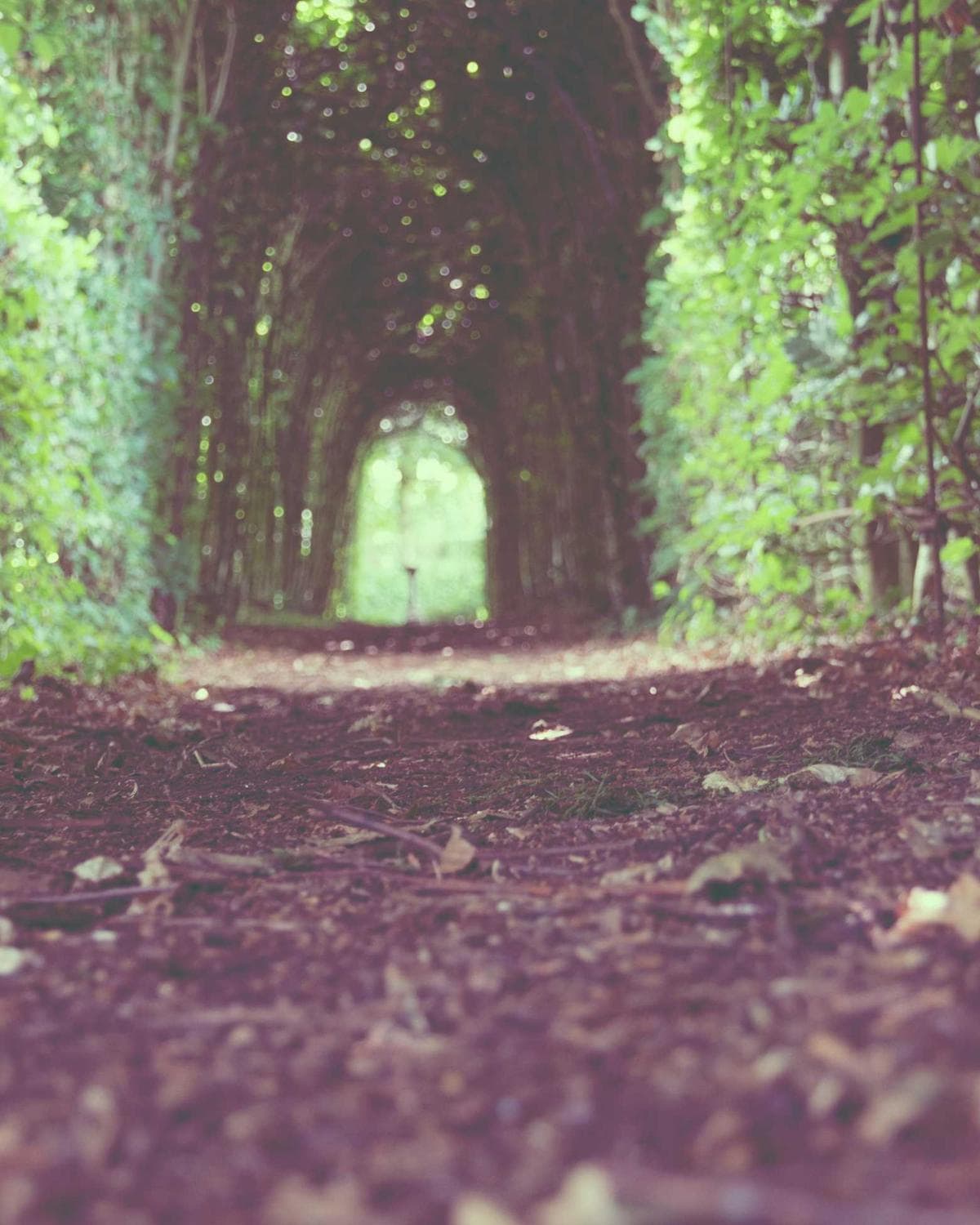 Ledger Crossbody, alternate view